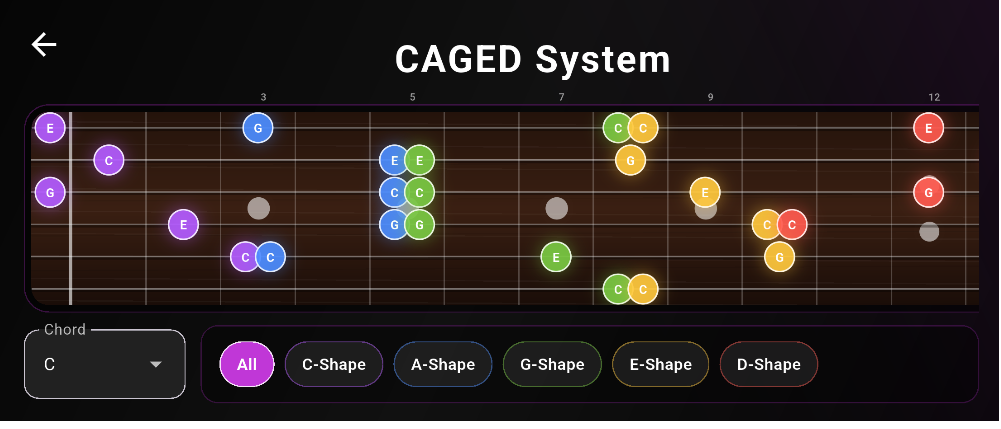 CAGED System